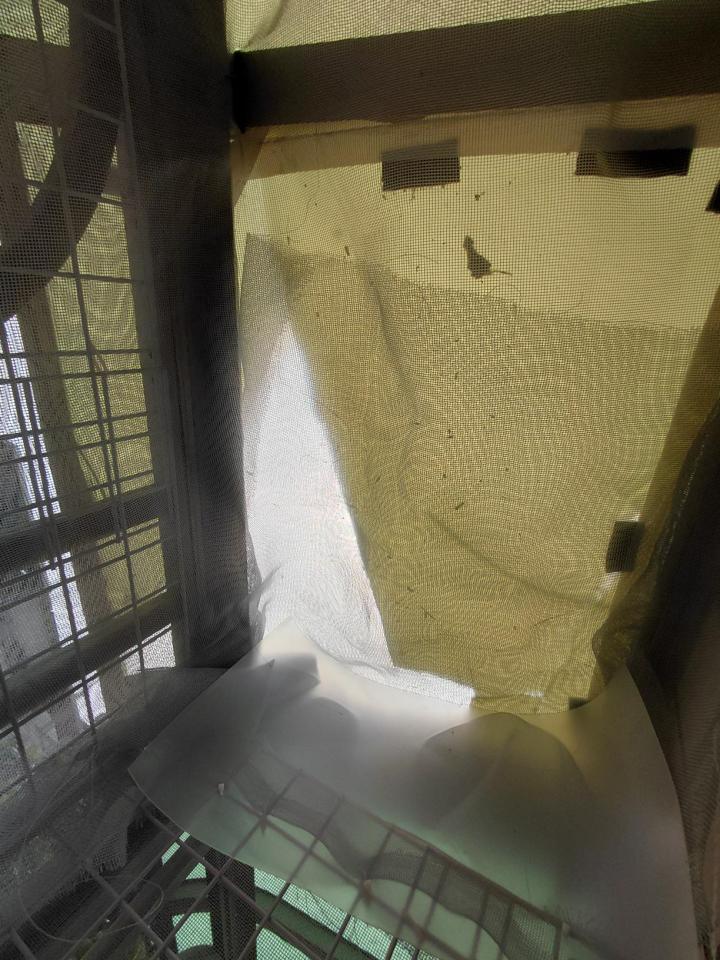 遮雨棚安裝案件圖片