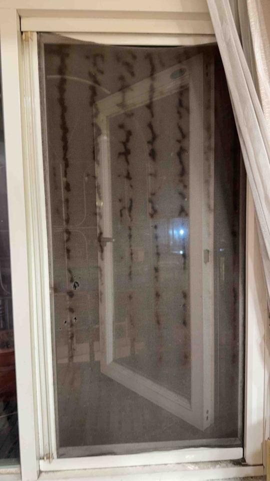 紗窗裝修案件圖片