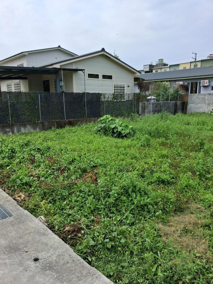 園藝維護案件圖片