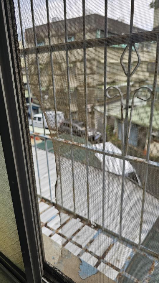 紗窗裝修案件圖片