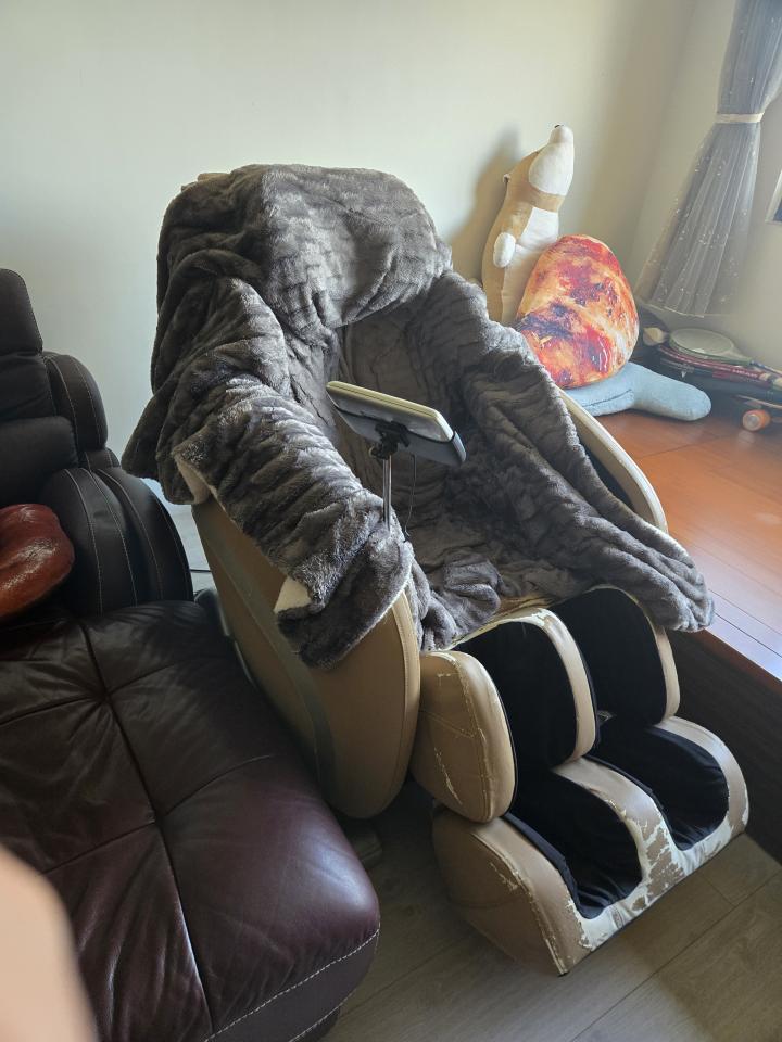 大型垃圾回收案件圖片