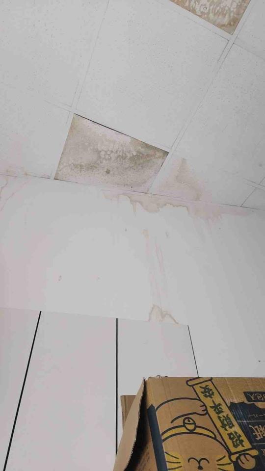 鐵皮屋頂案件圖片