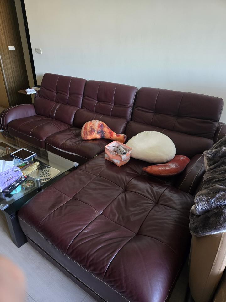 大型垃圾回收案件圖片