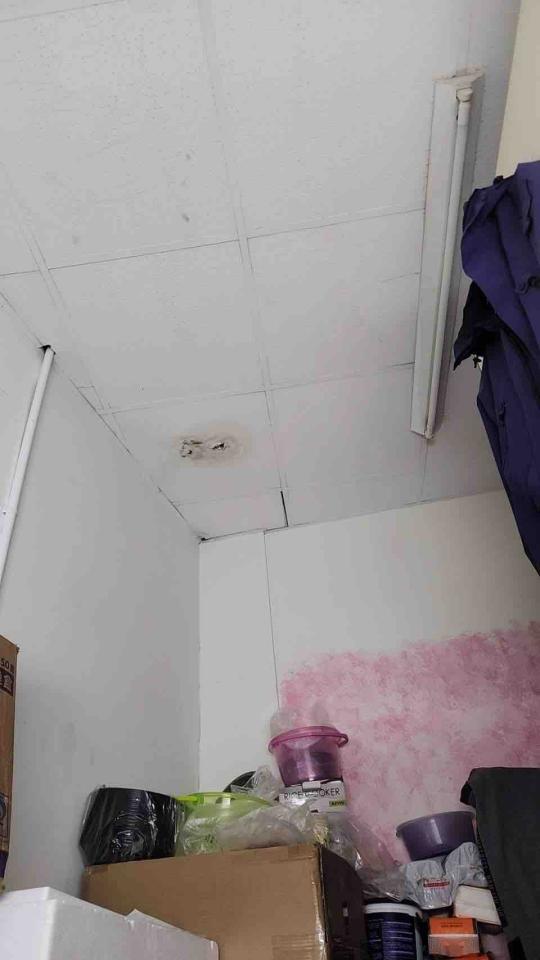 鐵皮屋頂案件圖片