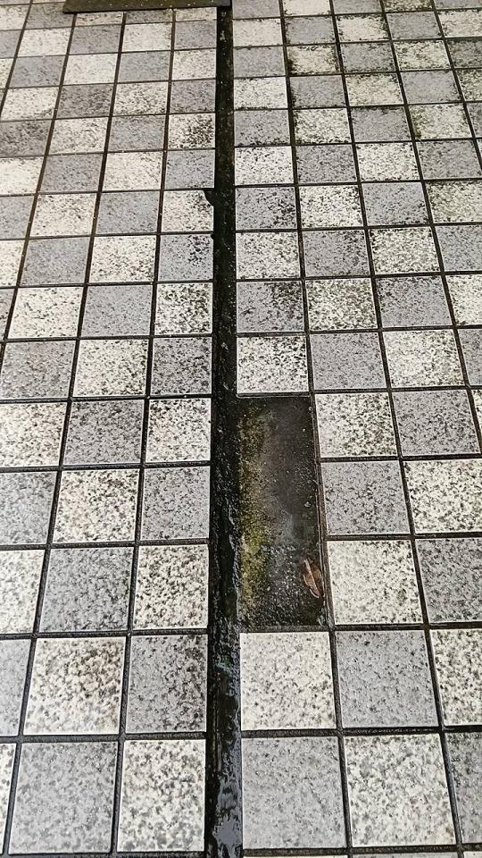 磁磚修補案件圖片