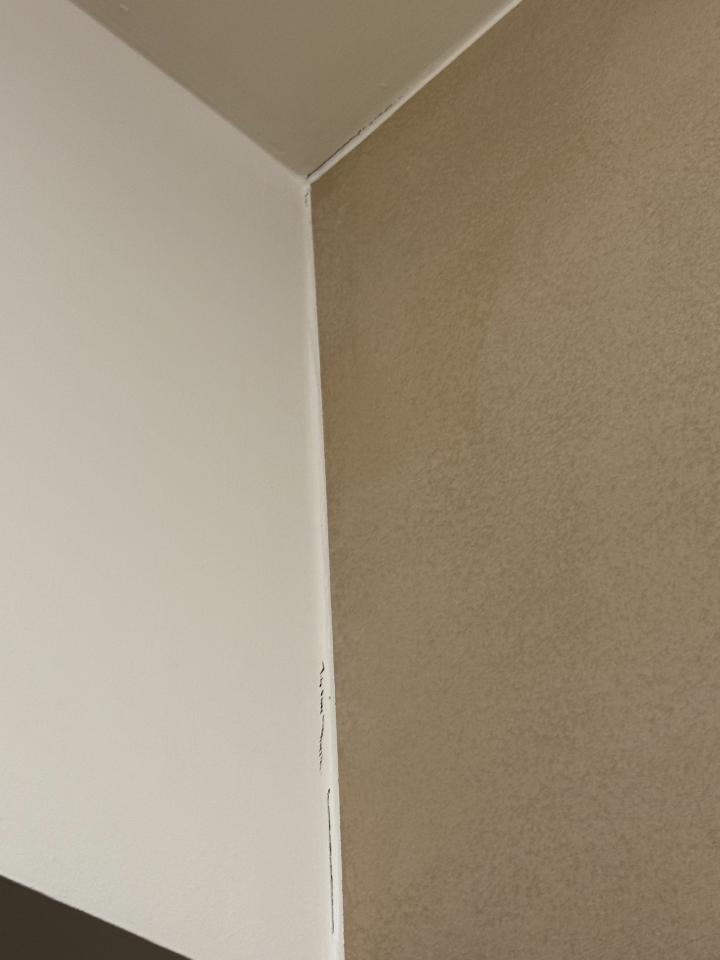 油漆工程案件圖片