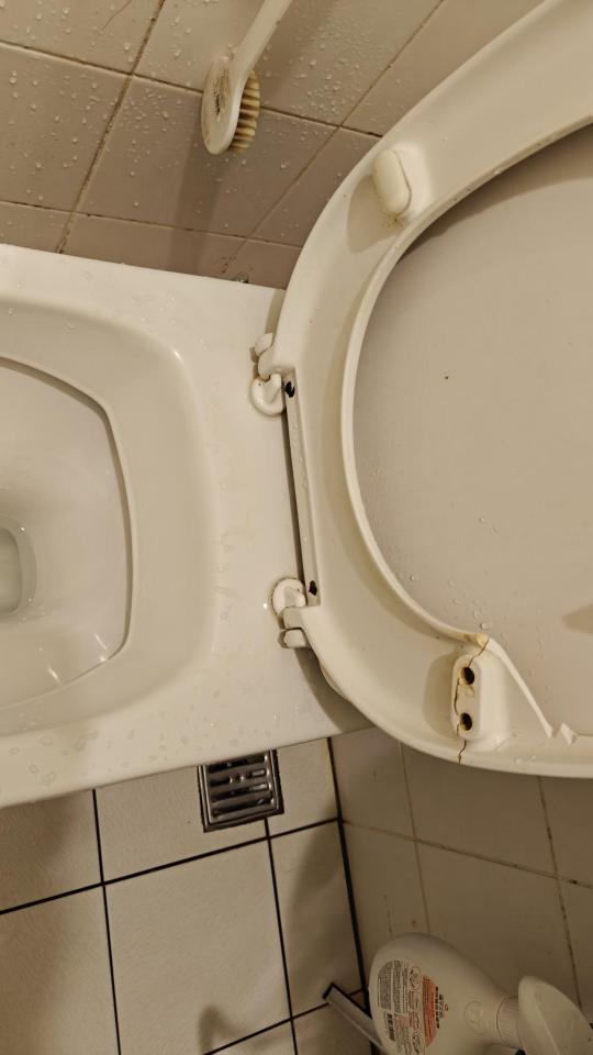 馬桶裝修案件圖片