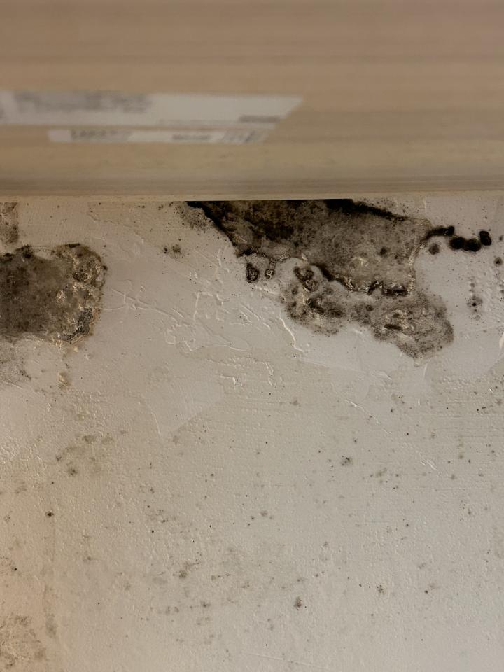 壁癌處理案件圖片