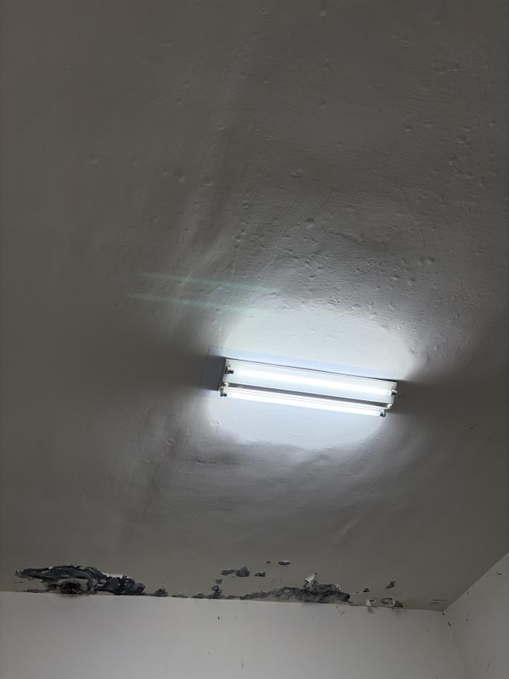 壁紙施工案件圖片