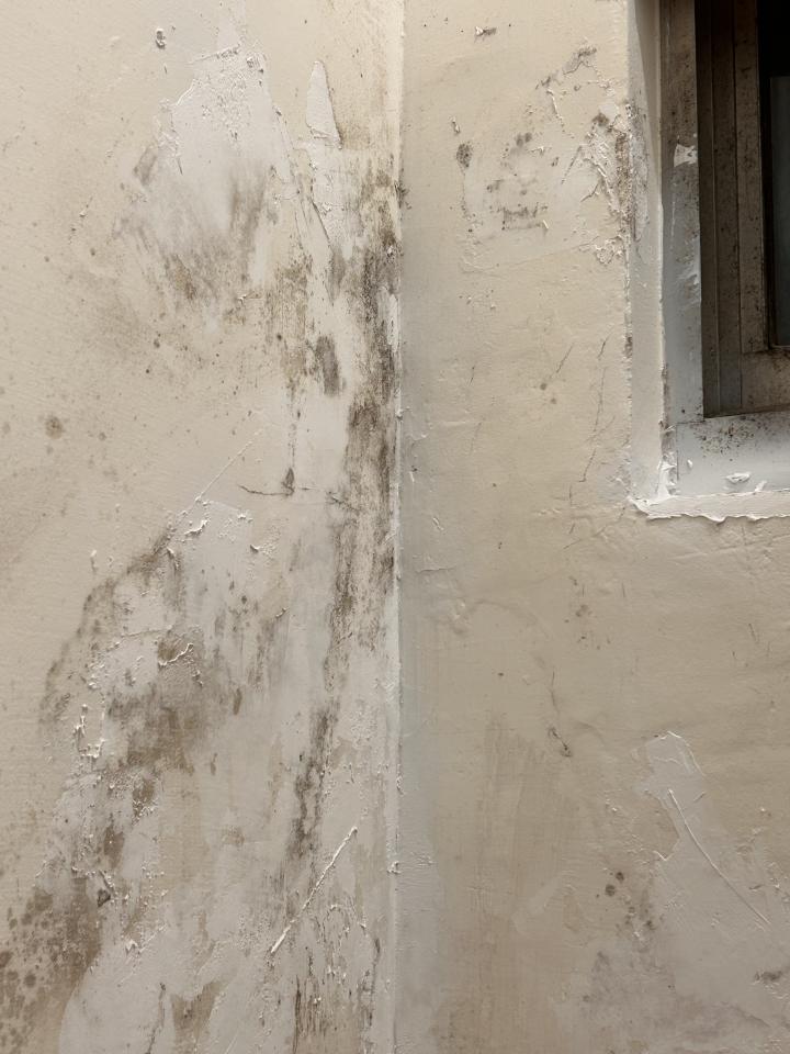 壁癌處理案件圖片