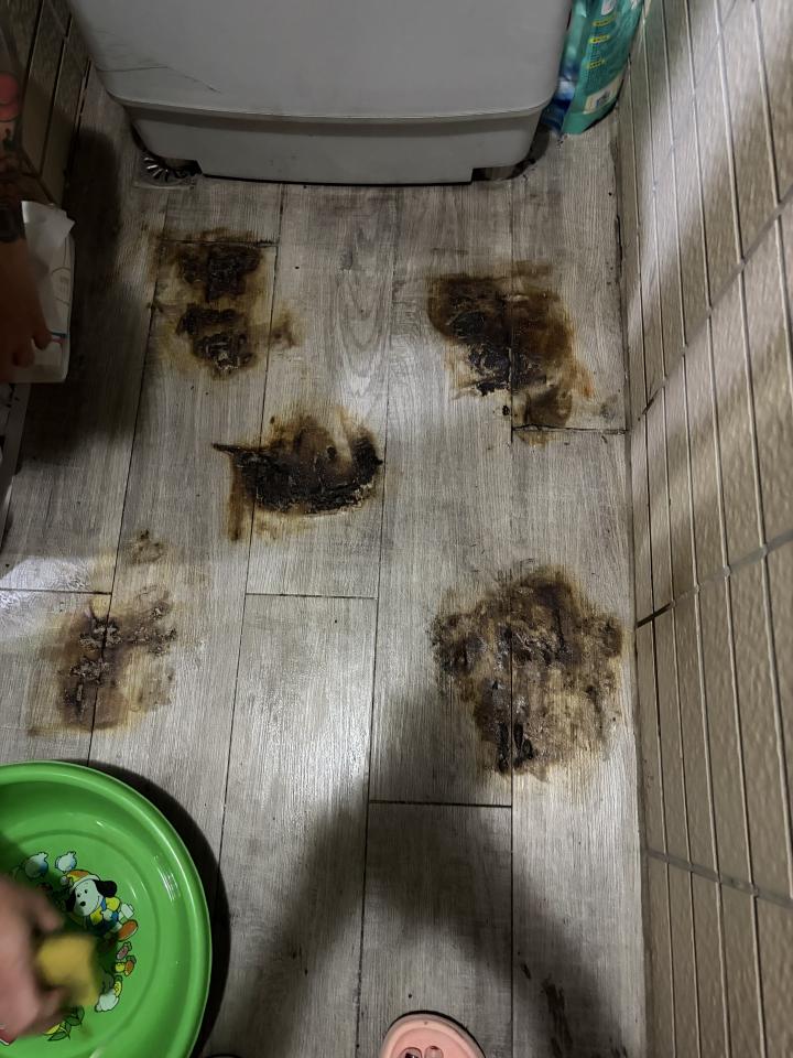 地板維修案件圖片