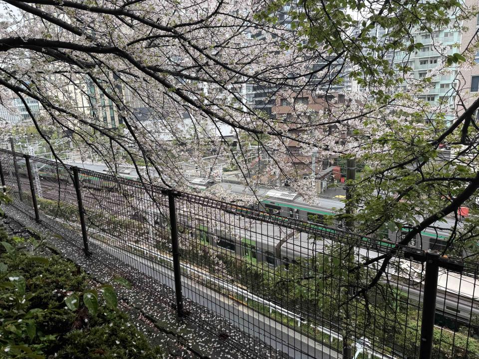 影片剪輯案件圖片