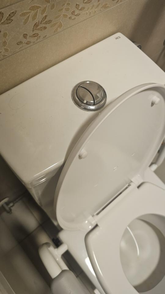 馬桶裝修案件圖片