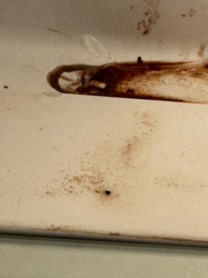 冰箱維修案件圖片