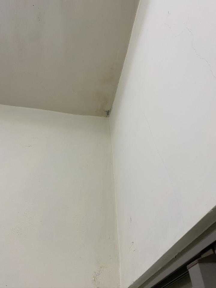 油漆工程案件圖片