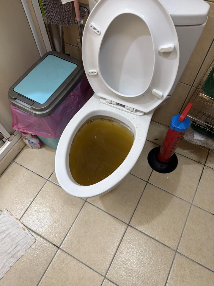 通馬桶案件圖片