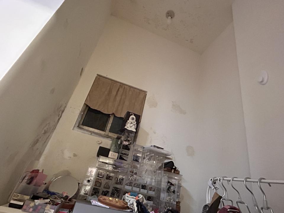 壁癌處理案件圖片