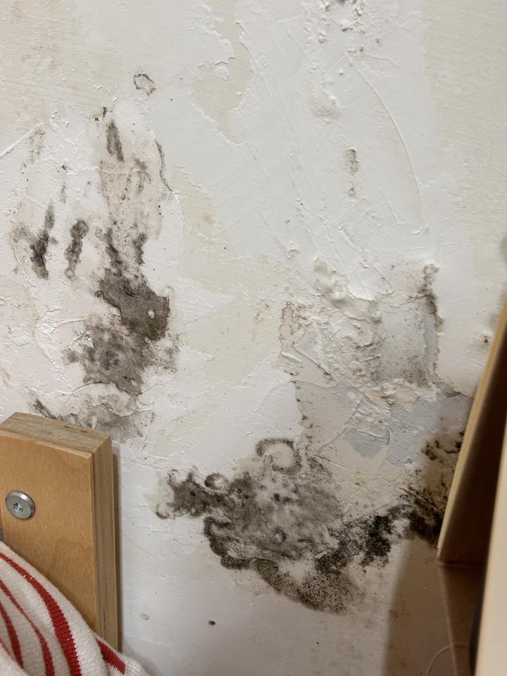 壁癌處理案件圖片