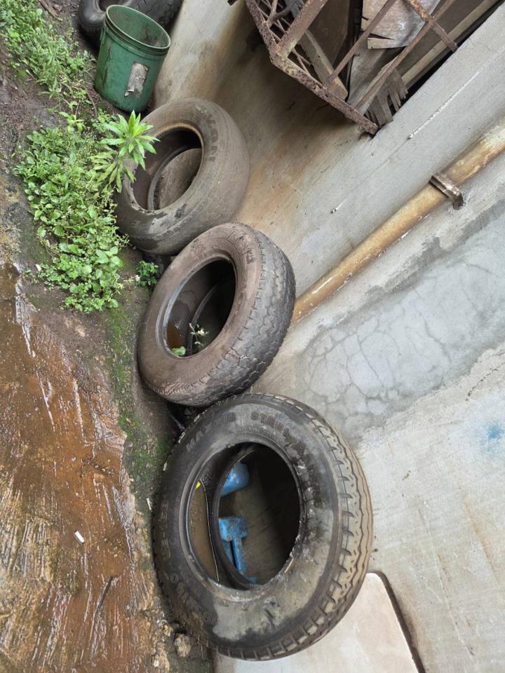 大型垃圾回收案件圖片