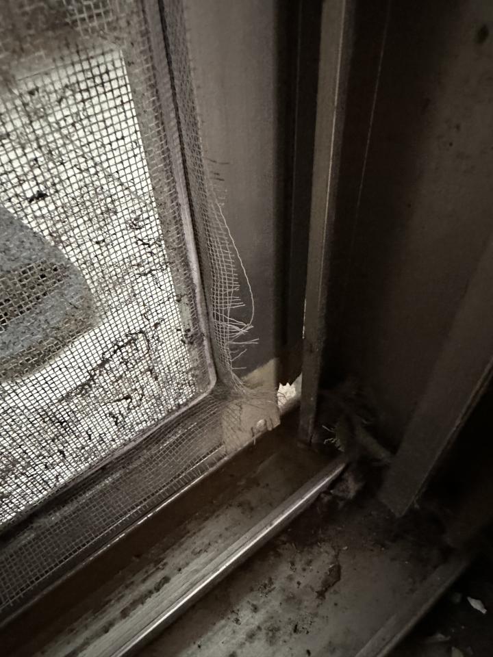 紗窗裝修案件圖片