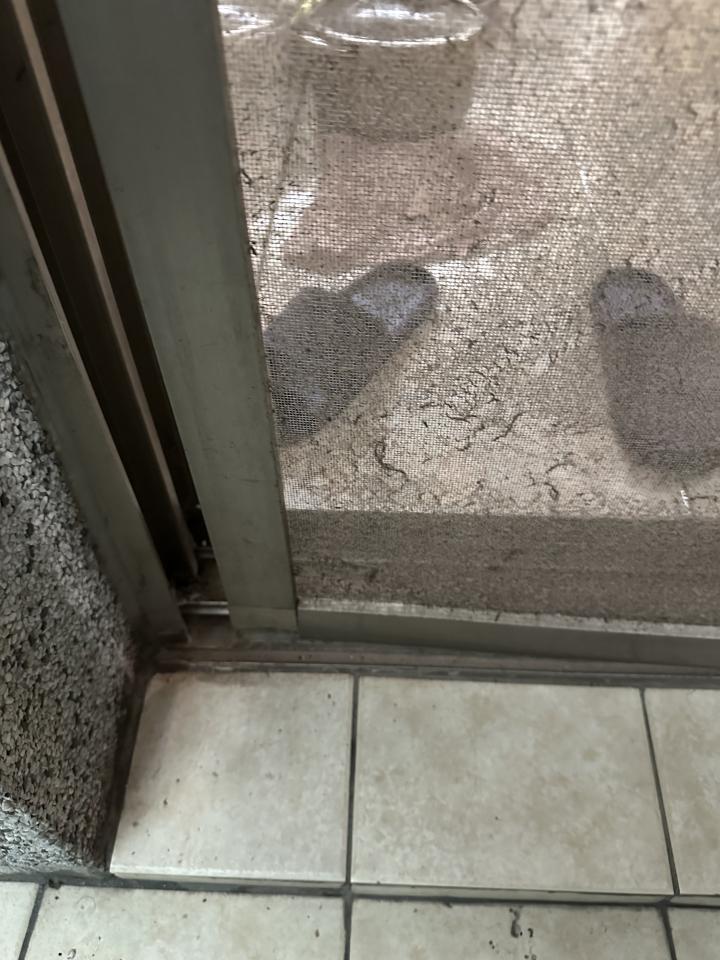 紗窗裝修案件圖片