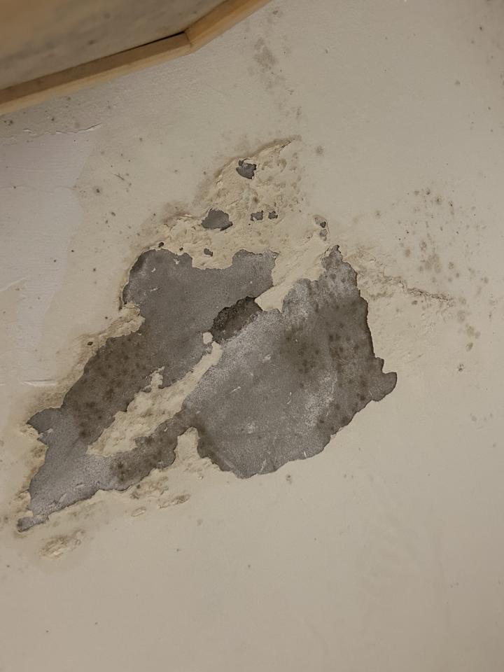 壁癌處理案件圖片