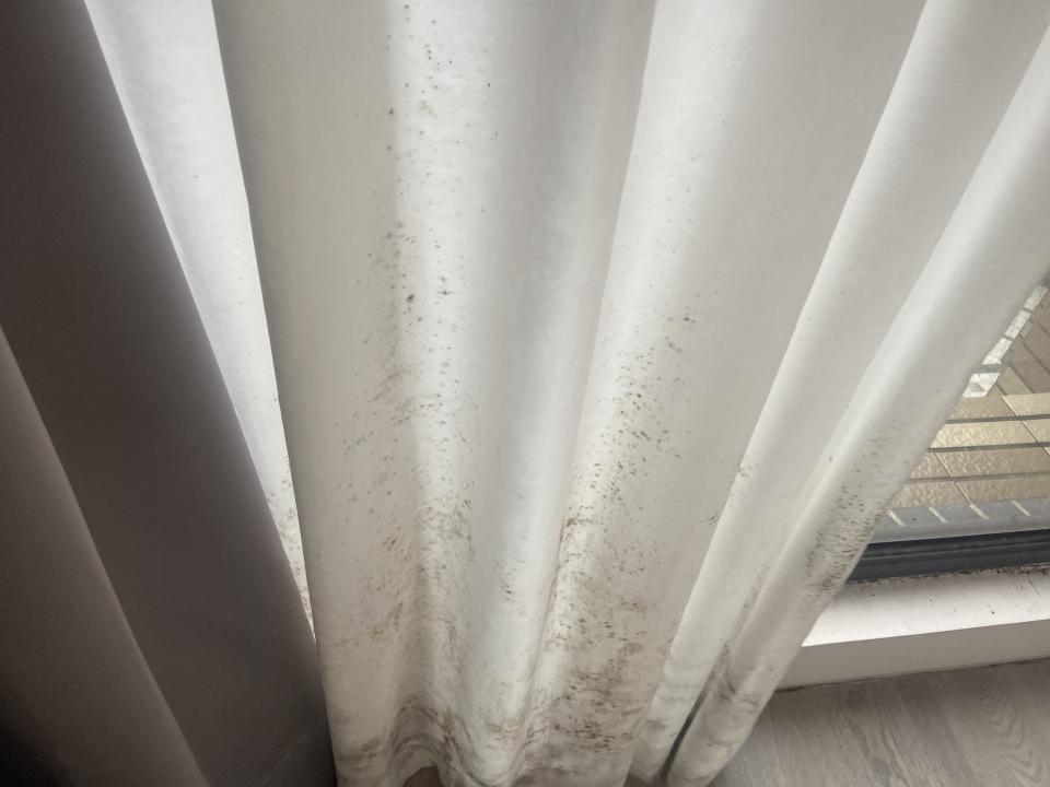 窗簾清潔案件圖片