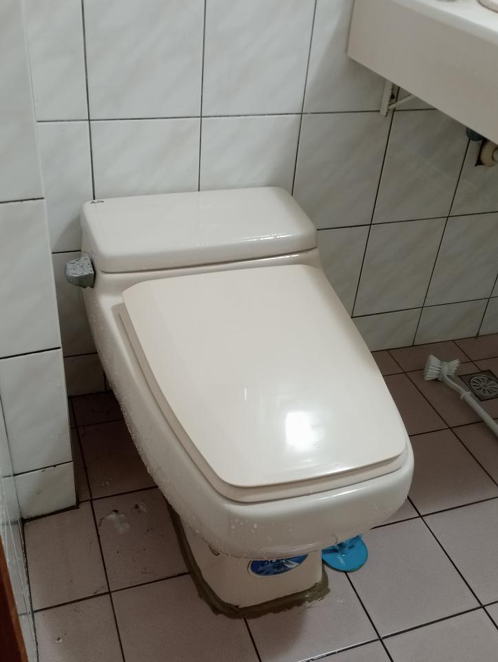 馬桶裝修案件圖片