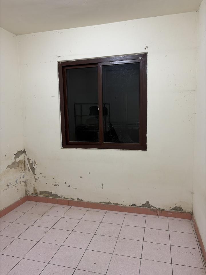 壁紙施工案件圖片