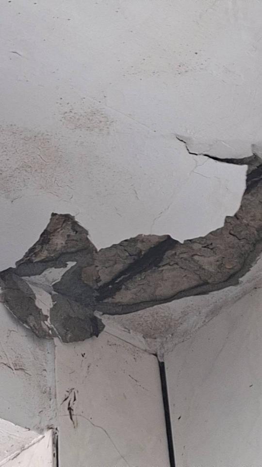 鋼筋外露處理案件圖片