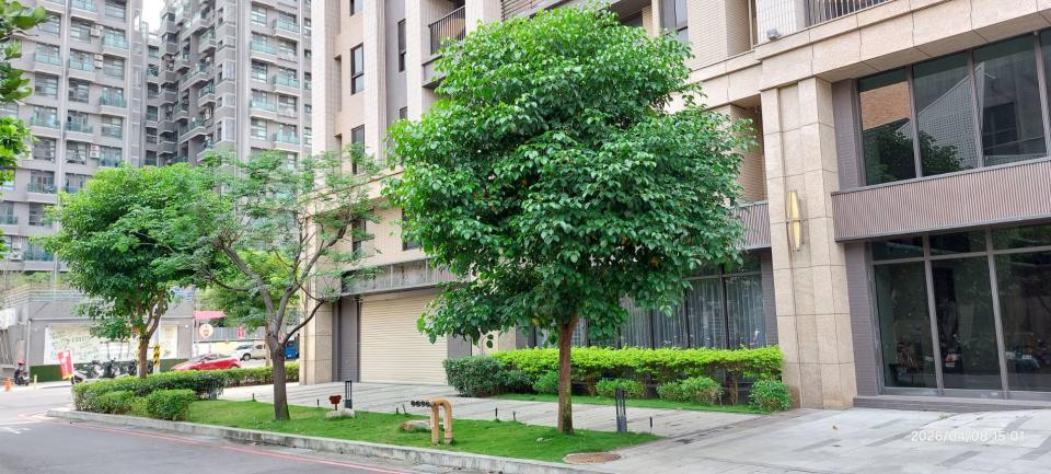 園藝維護案件圖片