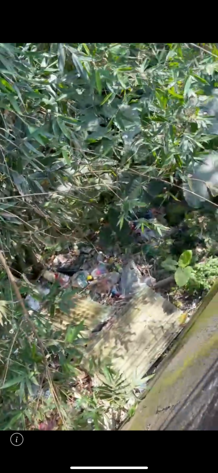 大型垃圾回收案件圖片