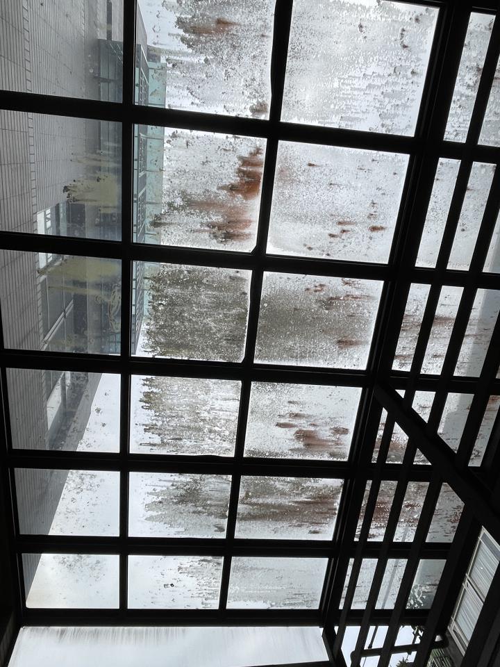 玻璃清潔案件圖片