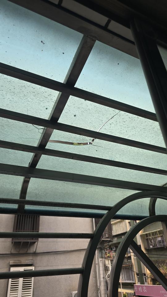 採光罩案件圖片