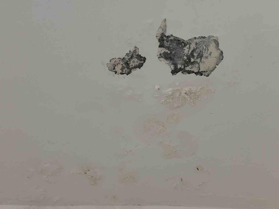 油漆工程案件圖片