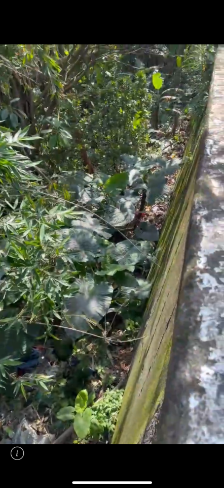 大型垃圾回收案件圖片