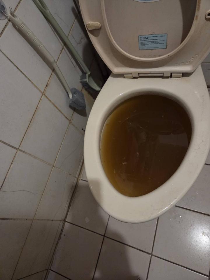 馬桶裝修案件圖片