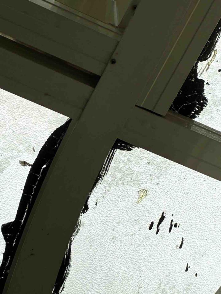 壁癌處理案件圖片