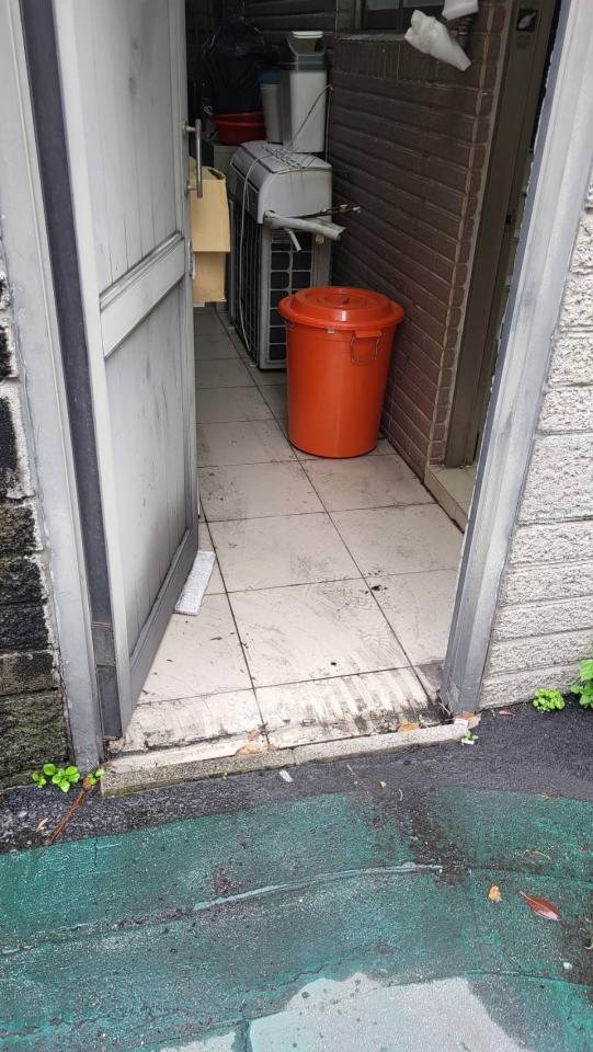 泥作/水泥施工案件圖片