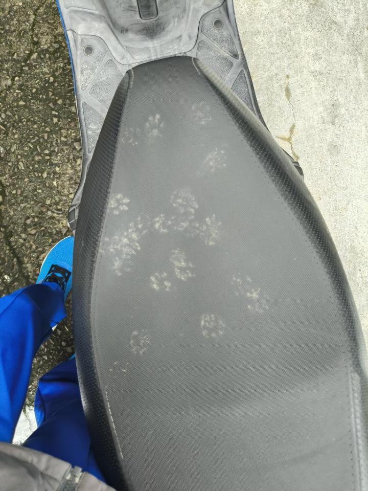 機車美容案件圖片