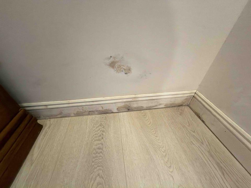 油漆工程案件圖片