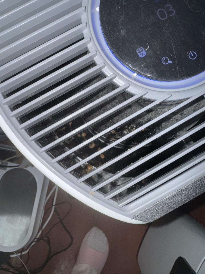 空氣清淨機清洗案件圖片