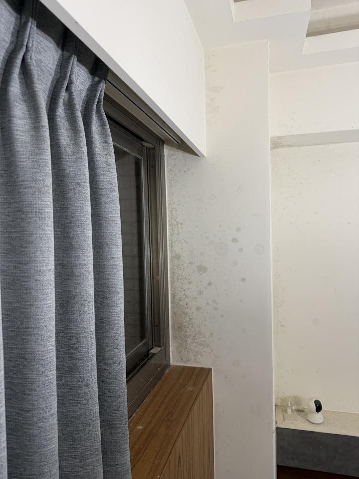 除霉案件圖片