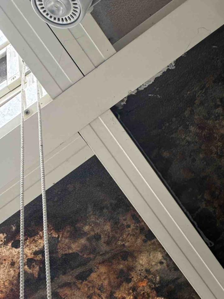 壁癌處理案件圖片