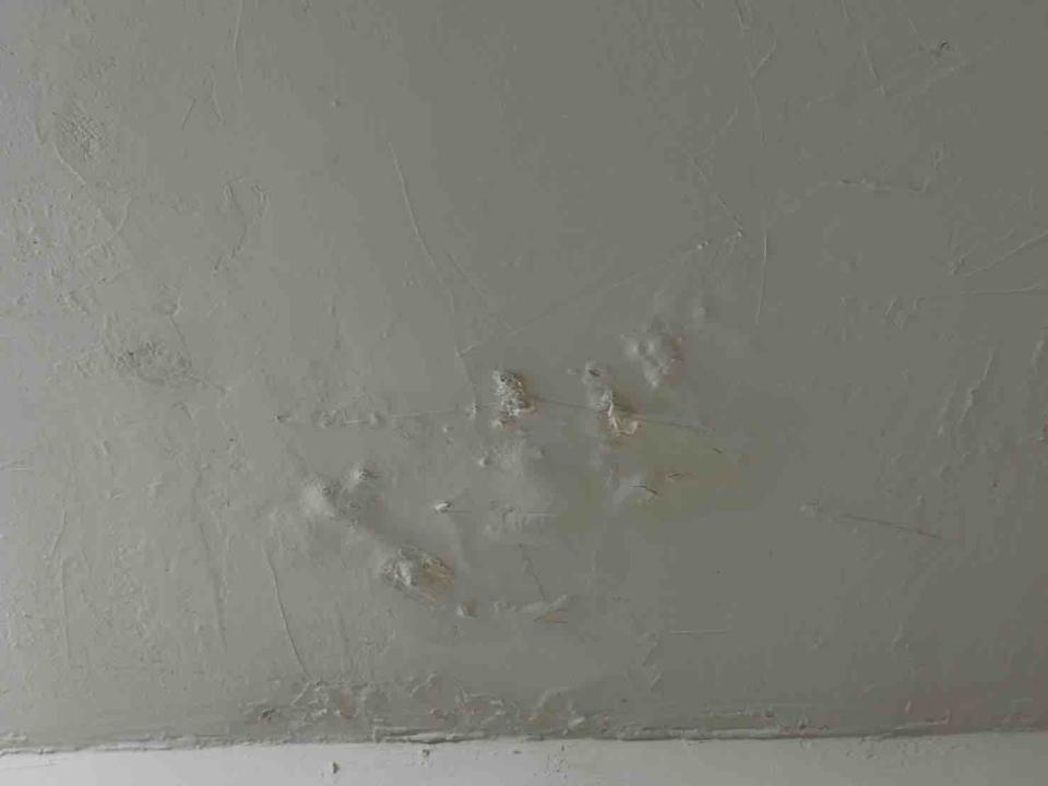 油漆工程案件圖片