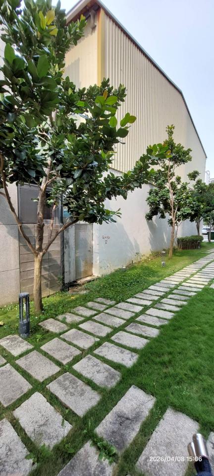 園藝維護案件圖片