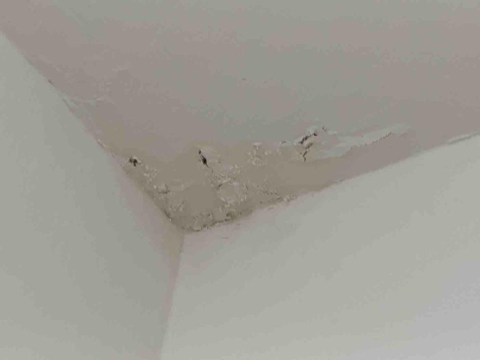 油漆工程案件圖片