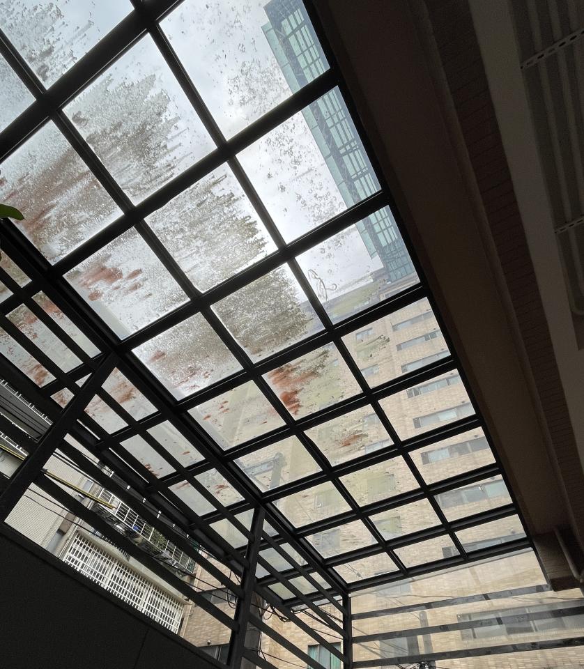 玻璃清潔案件圖片