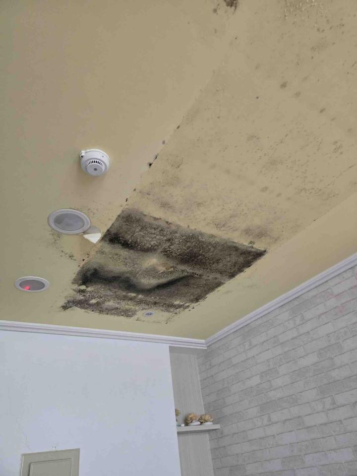 木工施工案件圖片