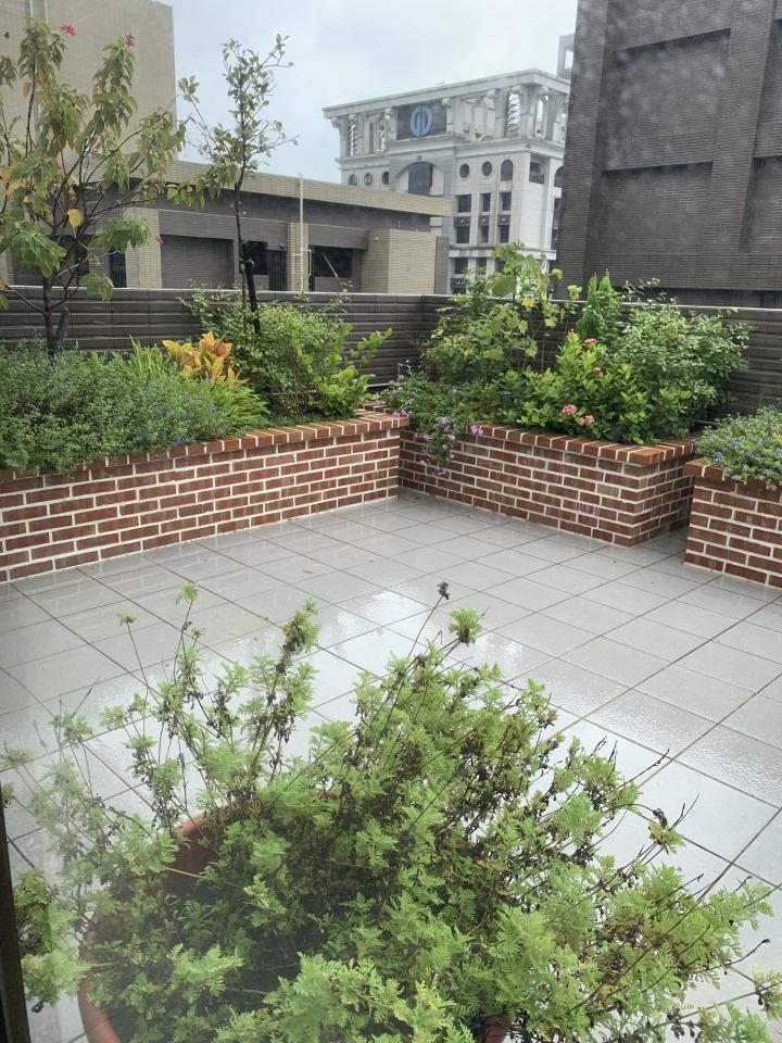 園藝維護案件圖片